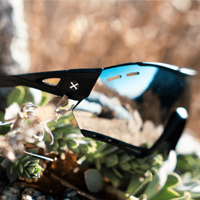 Carbinox Sunglasses